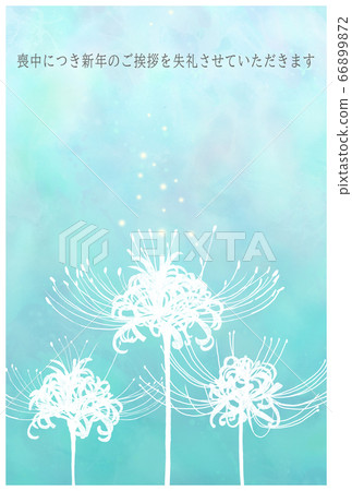 Postcard during mourning, cluster amaryllis vertical 66899872