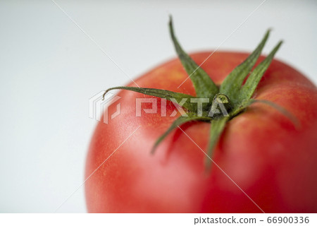 Ripe tomato 66900336