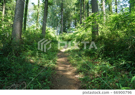 爬山徑 66900796