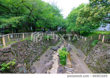 日本的東京城市景觀大手梨親水公園等=北區 日本的東京城市景觀大手梨親水公園等=北區 66901089