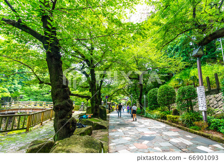 日本的東京城市景觀大手梨親水公園等=北區 日本的東京城市景觀大手梨親水公園等=北區 66901093