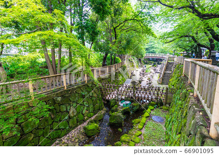 日本的東京城市景觀大手梨親水公園等=北區 日本的東京城市景觀大手梨親水公園等=北區 66901095