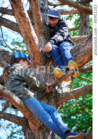 Girl and boy playing outdoor, climbing a tree, 66901283