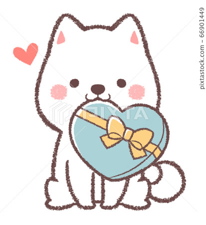 White Day Shiba Inu 66901449