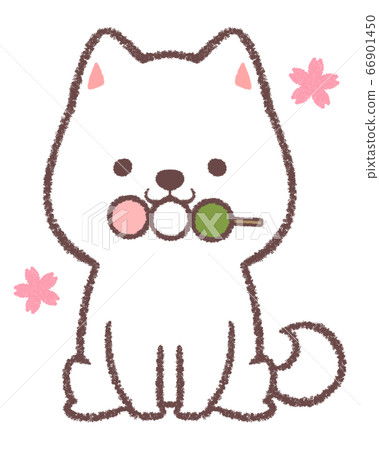 Shiba inu eating three color dumplings 66901450