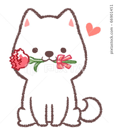 Thank you mother Shiba Inu 66901451