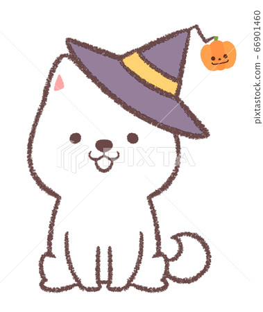 柴犬戴著萬聖節帽子 柴犬戴著萬聖節帽子 66901460
