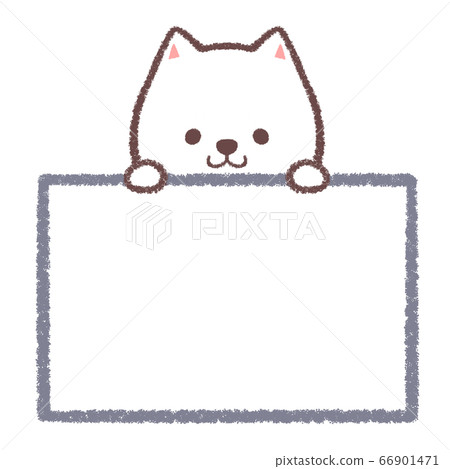 White Shiba Inu Information Board 66901471