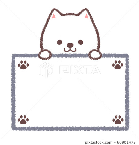 White Shiba Inu guide board 66901472