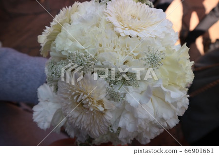 A bouquet 66901661