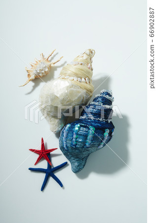 conch 66902887