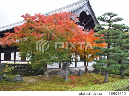 Tofukuji Tofukuji 66903833