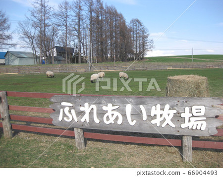 Fureai牧場 66904493