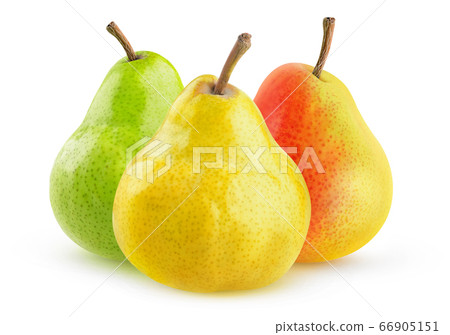 Yellow, green and yellow red isolated pears Yellow, green and yellow red isolated pears 66905151