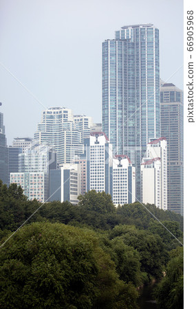城市森林 城市森林 66905968