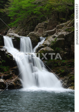 《Hiroshima Prefecture》 Sandankyo Fresh green Sandandaki Waterfall 《Hiroshima Prefecture》 Sandankyo Fresh green Sandandaki Waterfall 66906337