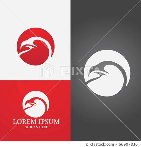 Falcon Logo Template vector Falcon Logo Template vector 66907830