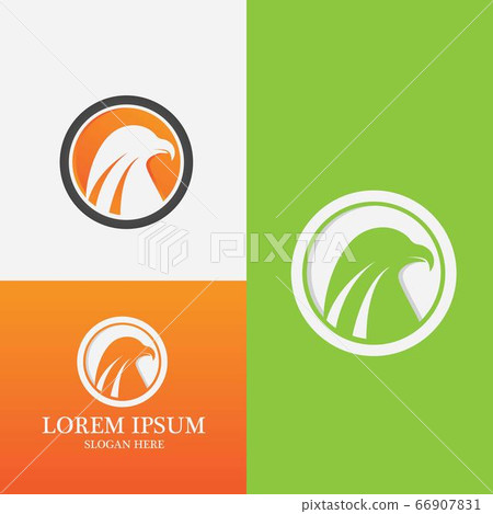 Falcon Logo Template vector Falcon Logo Template vector 66907831