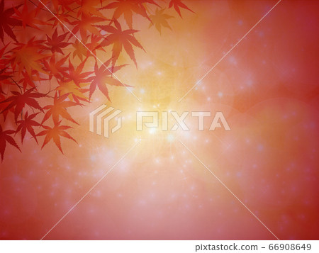 秋天的樹葉 秋天的樹葉 66908649