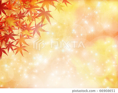 秋天的樹葉 秋天的樹葉 66908651