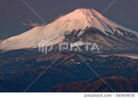 Fuji of the morning glow seen from Tanzawa · Tonodake Fuji of the morning glow seen from Tanzawa · Tonodake 66909656