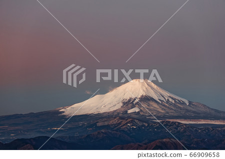 Fuji of the morning glow seen from Tanzawa · Tonodake Fuji of the morning glow seen from Tanzawa · Tonodake 66909658