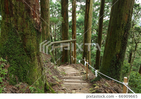 The sanctuary of Tamaki Shrine The sanctuary of Tamaki Shrine 66909665