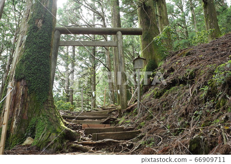 玉置神社的聖所 玉置神社的聖所 66909711