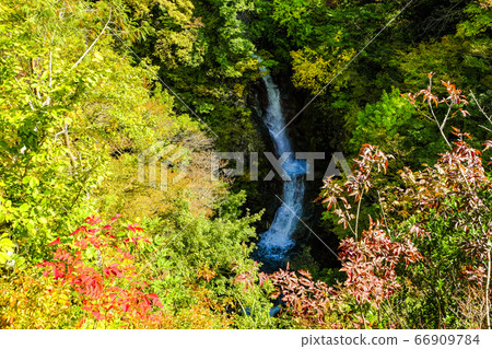 秋天的落葉和Jabuchi瀑布 秋天的落葉和Jabuchi瀑布 66909784