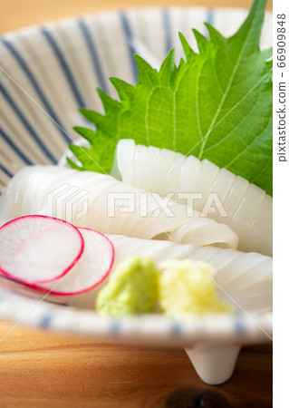 Squid sashimi 66909848