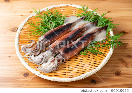 漏勺中的Surumeika 66910053