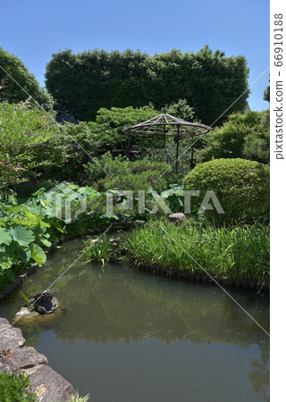 菊林花園 菊林花園 66910188