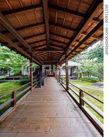 Kyoto Kenninji Dragon ceiling painting Kyoto Kenninji Dragon ceiling painting 66911156