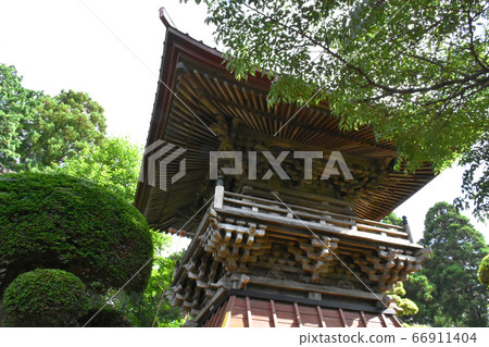 千葉縣香取區多光町日本寺的繡球 千葉縣香取區多光町日本寺的繡球 66911404
