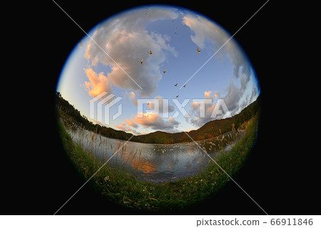 Tsuruoka Swan Tsuruoka Swan 66911846