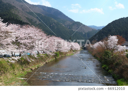 Cherry blossoms of Kyoto Ohara Cherry blossoms of Kyoto Ohara 66912010