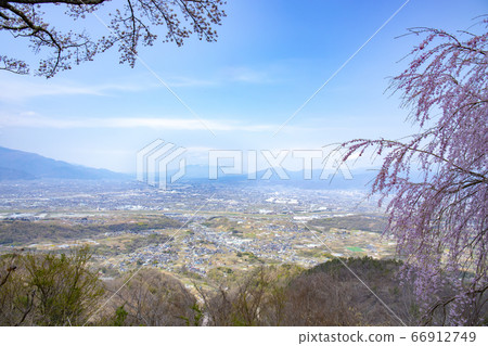 [山梨中央區]甲府盆地山上千本櫻和八岳 66912749