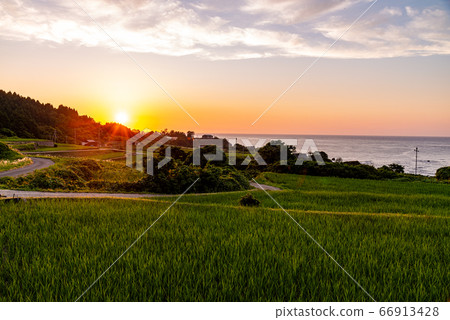 （京都）田田Sodeshi夜景 66913428