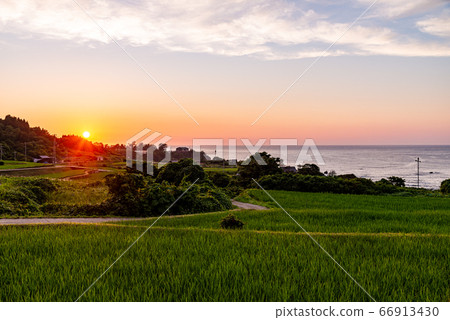 （京都）田田Sodeshi夜景 66913430