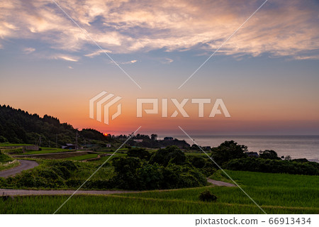 （京都）田田Sodeshi夜景 66913434