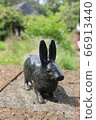 Rabbit figurine in the herb garden 66913440