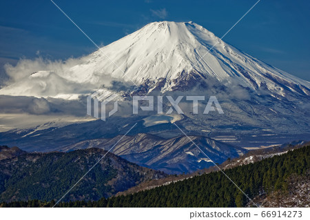 在丹澤前山脊上眺望的冬季富士山 在丹澤前山脊上眺望的冬季富士山 66914273