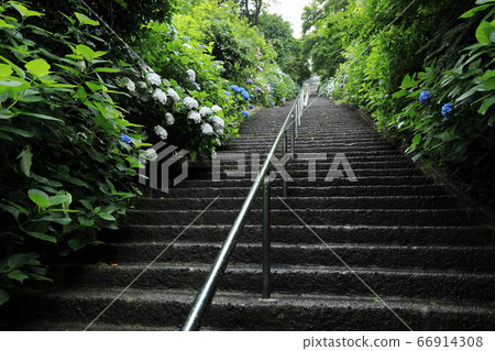 平山神社（6月） 66914308