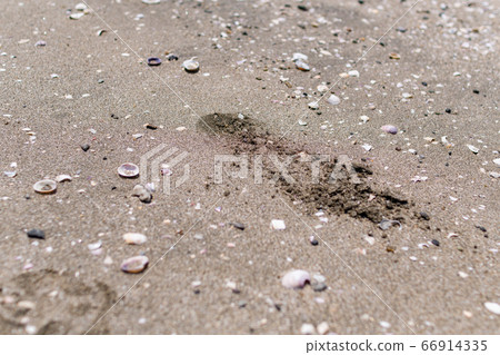 Footprints on the sandy beach Footprints on the sandy beach 66914335