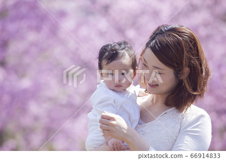 Cherry blossom viewing with family Cherry blossom viewing with family 66914833