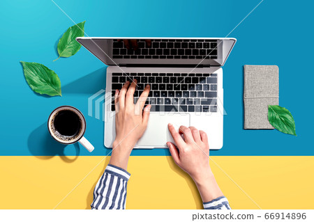 Person using a laptop computer with green leaves 66914896
