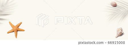 Summer concept with starfish and seashells Summer concept with starfish and seashells 66915008