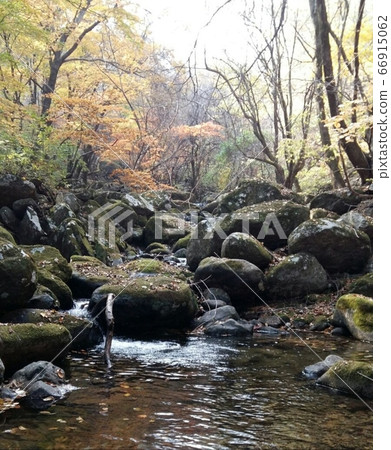 Nature is self-sustaining when there is no human interference. Nature is self-sustaining when there is no human interference. 66915062