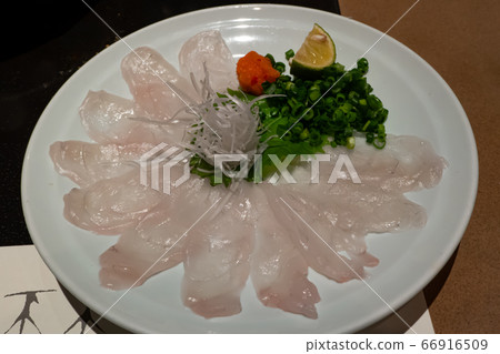Torafugu sashimi thin structure panoramic view horizontal position Torafugu sashimi thin structure panoramic view horizontal position 66916509
