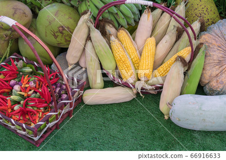 assorted raw vegetables with organic food in the basket. assorted raw vegetables with organic food in the basket. 66916633